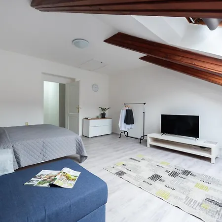 - Karlin Apartment Prague